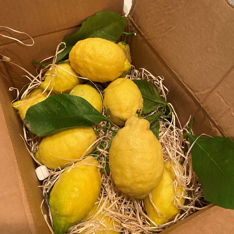 Lemon 1Kg